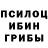 Псилоцибиновые грибы Psilocybe Ermacov Ivan