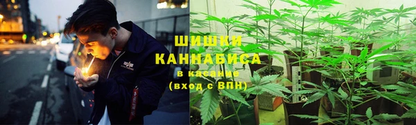 винт Арсеньев